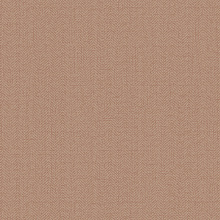 Коричневые обои для стен Alessandro Allori Bruni 1002-15 RBN